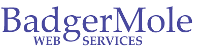 BadgerMole Web Services